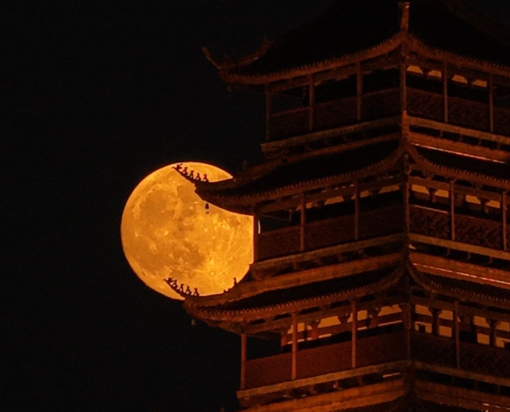 开云体育官网
